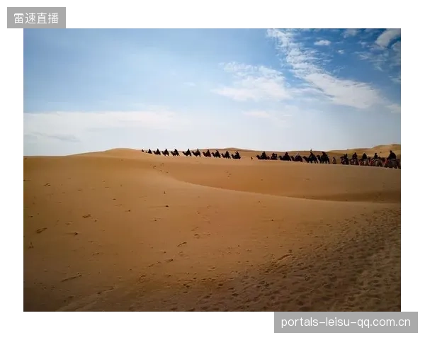冬窗有望：与阿莫林重聚的心灵之旅
